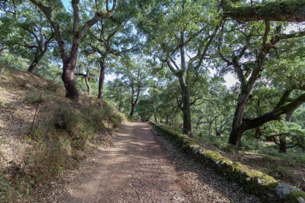Finca Montemateo Navahermosa  Bagian luar foto